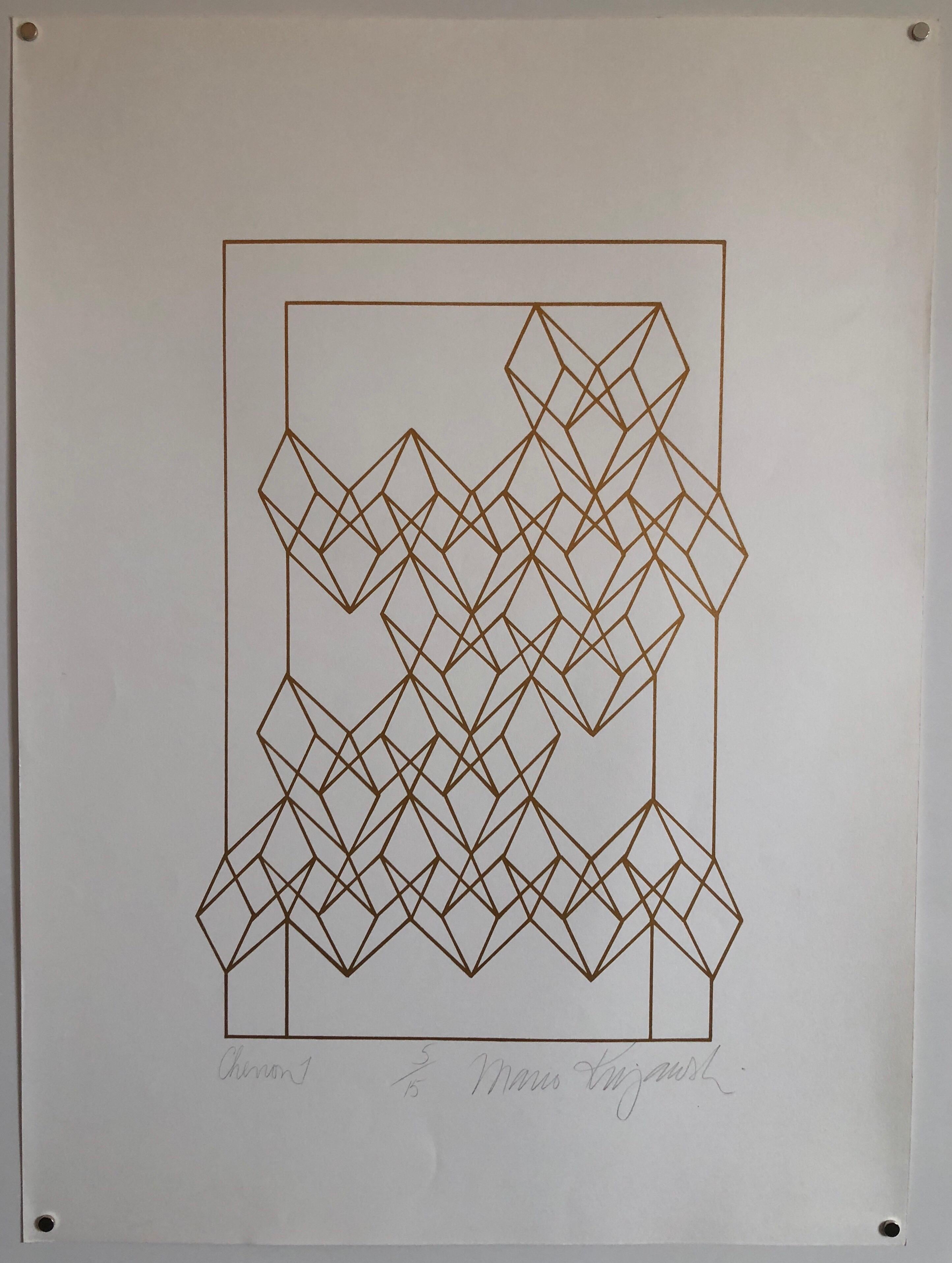 On BFK Rives French paper. Hand signed in pencil and numbered from small llimited edition of 15.

Mario Julio Kujawski received a BA from Brown University, and an M.A. from Ohio State University. His work has been exhibited at the Beck Center for