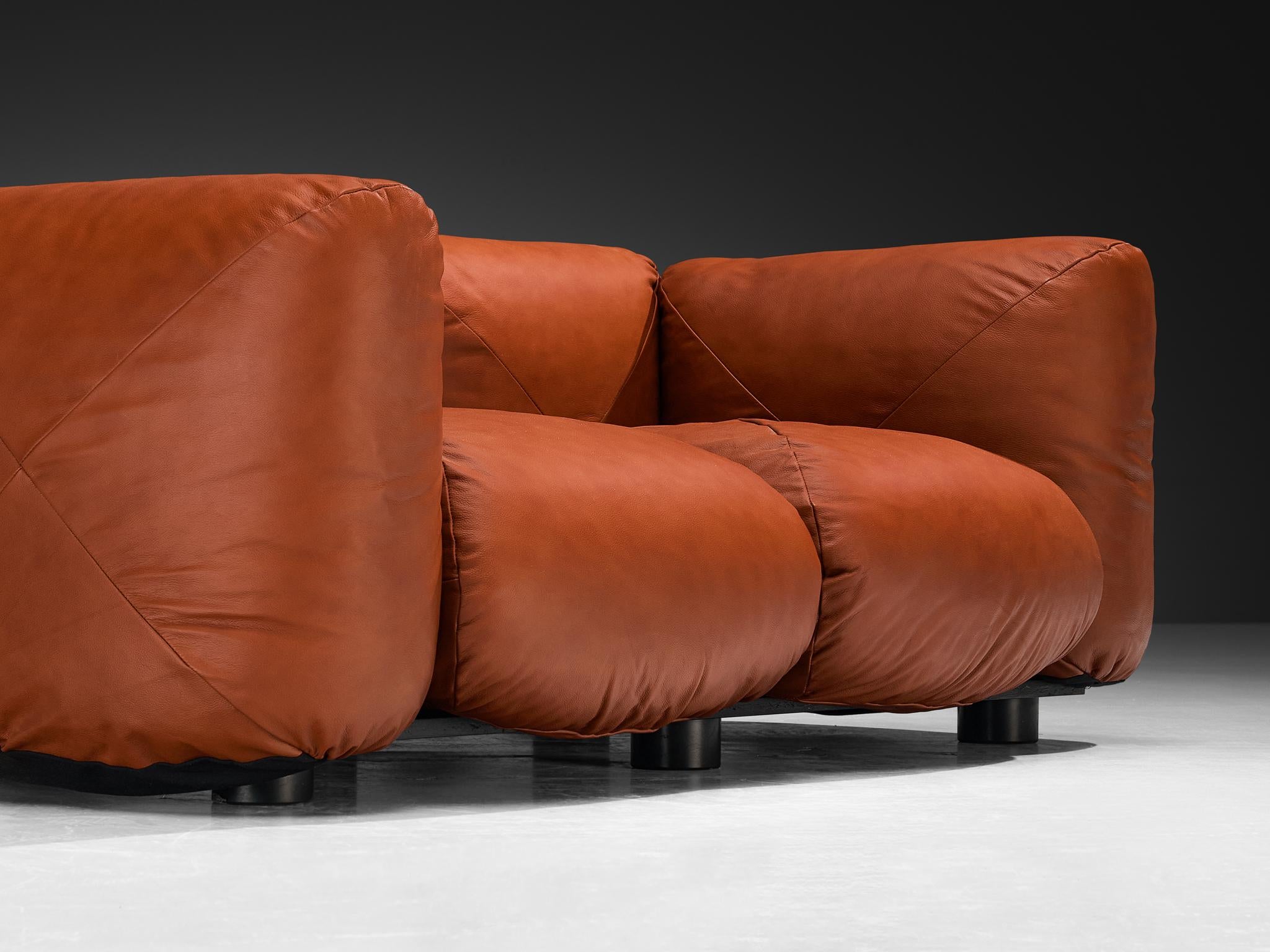 Mario Marenco for Arflex Marius&Marius Sofas in Brownish Red Leather In Good Condition For Sale In Waalwijk, NL