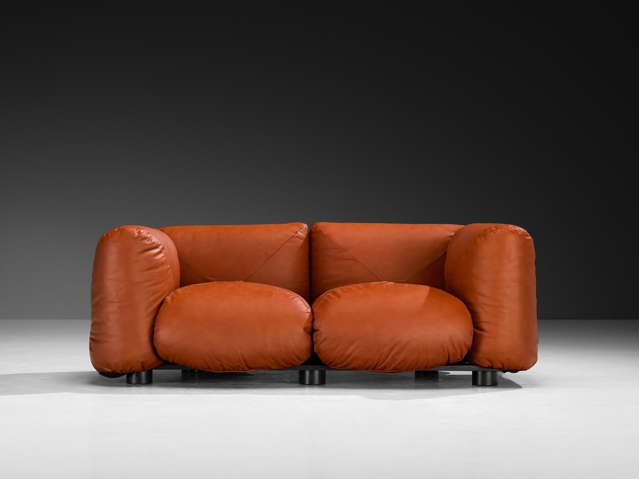 Mario Marenco for Arflex Marius&Marius Sofas in Brownish Red Leather For Sale 1