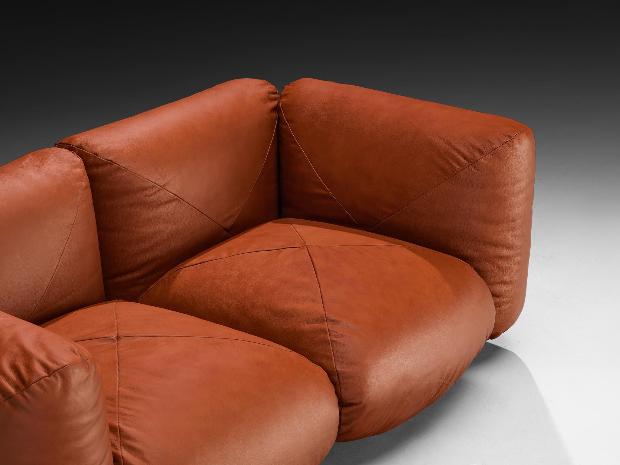 Mario Marenco for Arflex Marius&Marius Sofas in Brownish Red Leather For Sale 2
