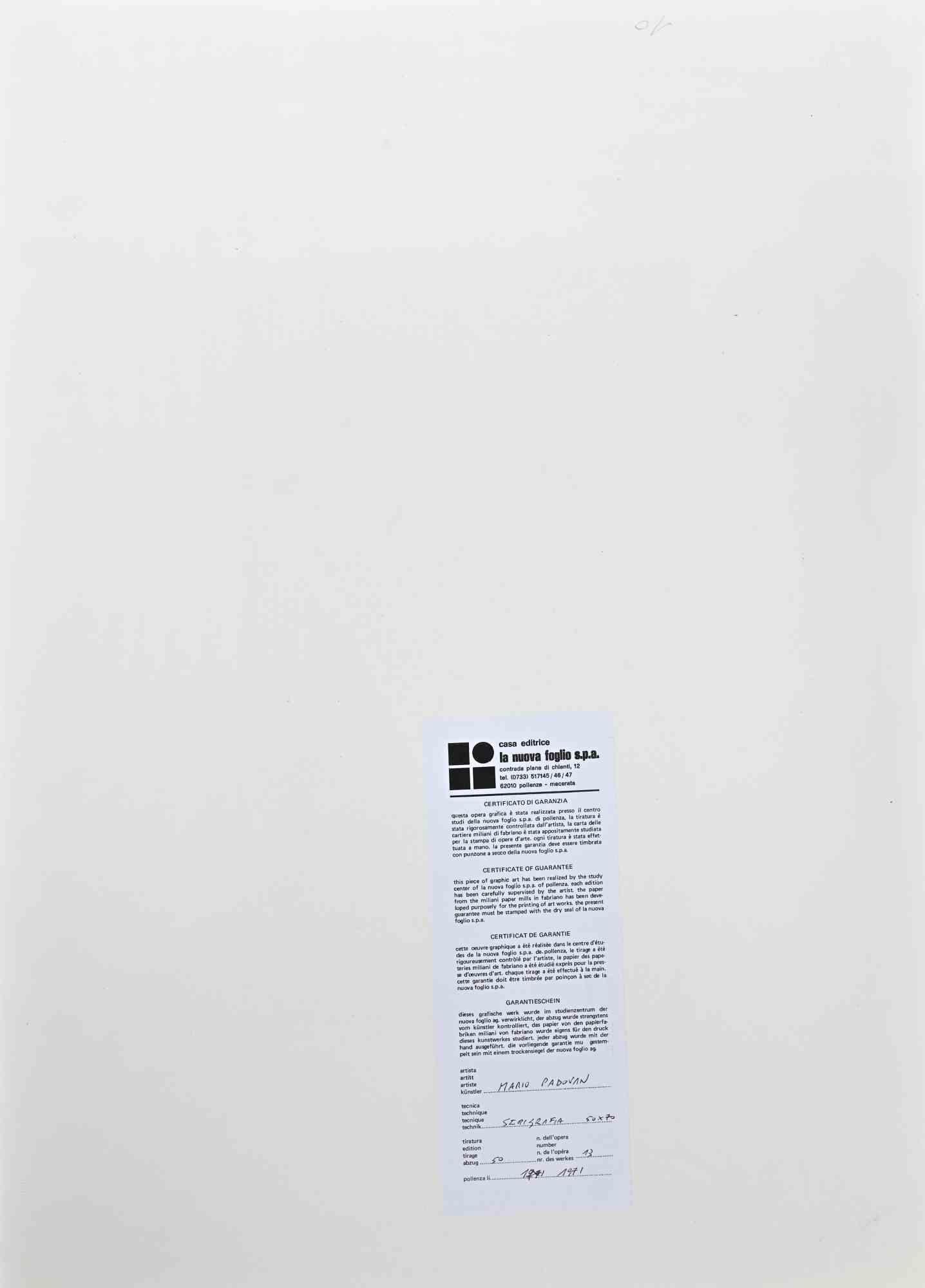 Abstract Composition - Original Screen print by Mario Padovan - 1971 1
