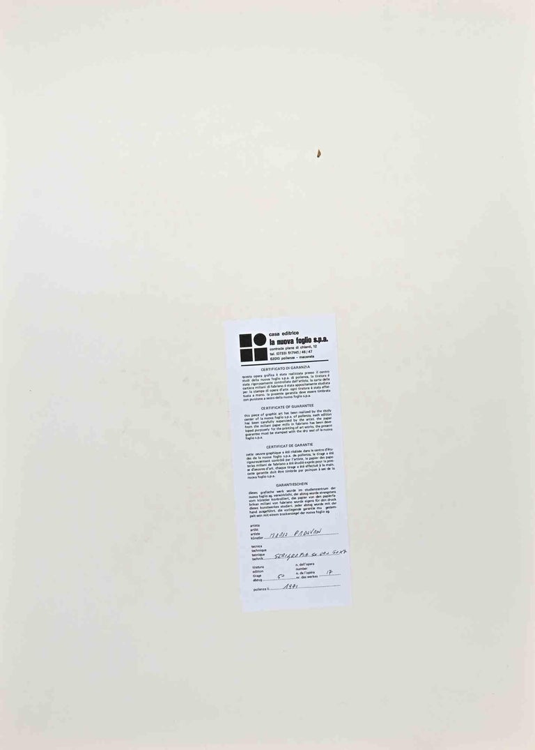 Mario Padovan - Abstract Composition - Screen Print by Mario Padovan ...