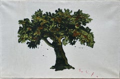 Albero