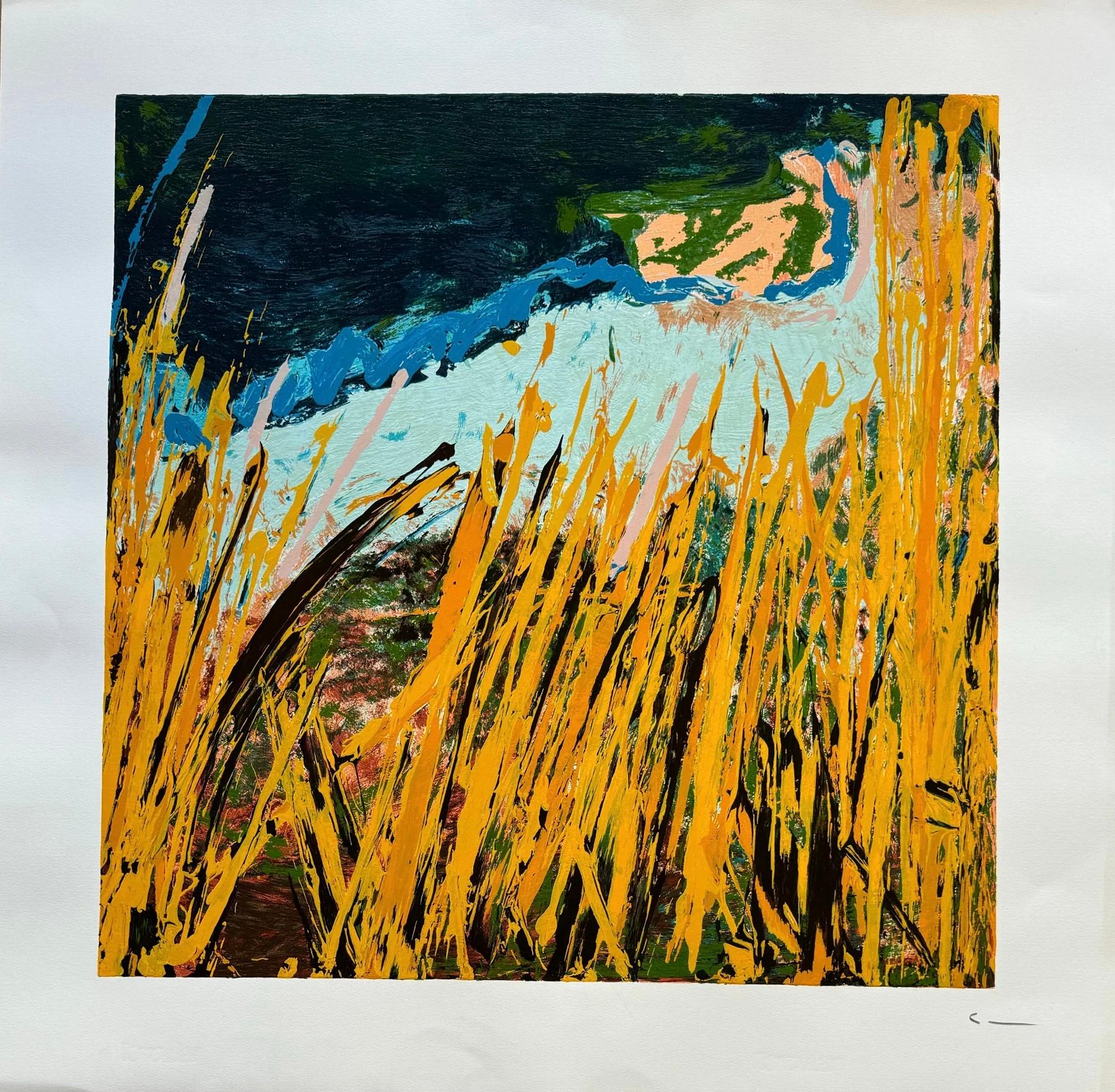 Enamel screen printing, edited in 1988.
Limited edition of 199 copies, numbered PA ( artist proof)
Signed in pencil by artist in lower right corner.
Very good conditions.

Paper size: 100 x 100 cm

Publications:
This print is fully documented and