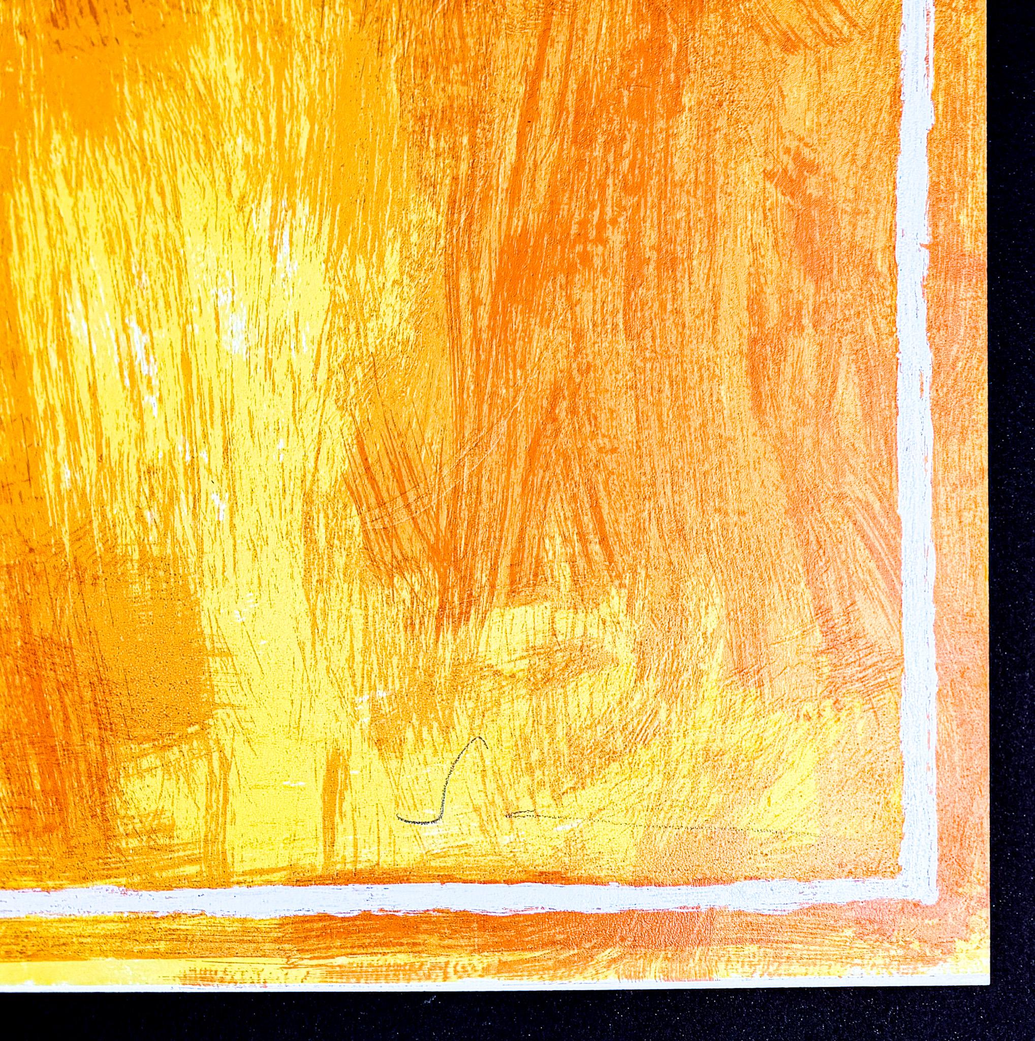 Mario Schifano (1934–1998) – Casa di guardia – Enamel screen printing – 1988 en venta 5