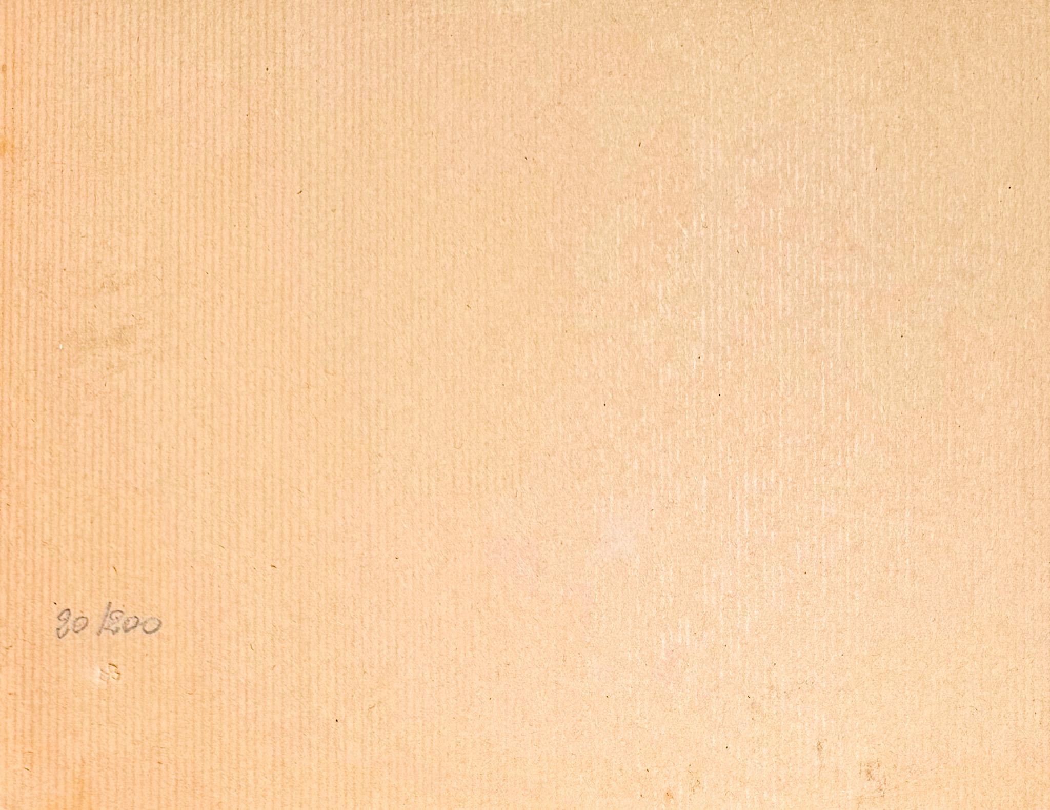 Mario Schifano (1934–1998) - Coca Cola - Screen printing on paper - 1962 3