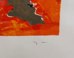 Mario Schifano (1934-1998) - La rotta nordica per la sicurezza - Serigrafia