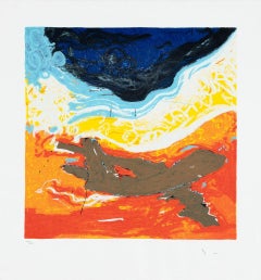 Mario Schifano (1934-1998) - La rotta nordica per la sicurezza - Serigrafia