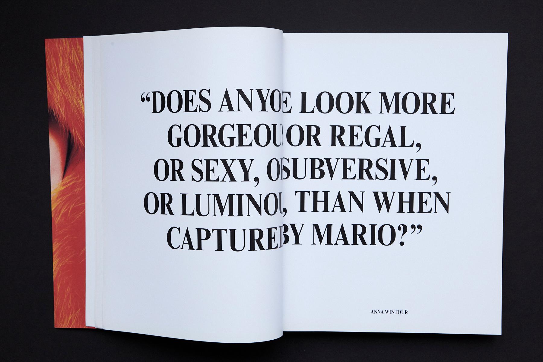 Paper Mario Testino, In Your Face, MFA Boston, Taschen Verlag, First Edition, 2012 For Sale