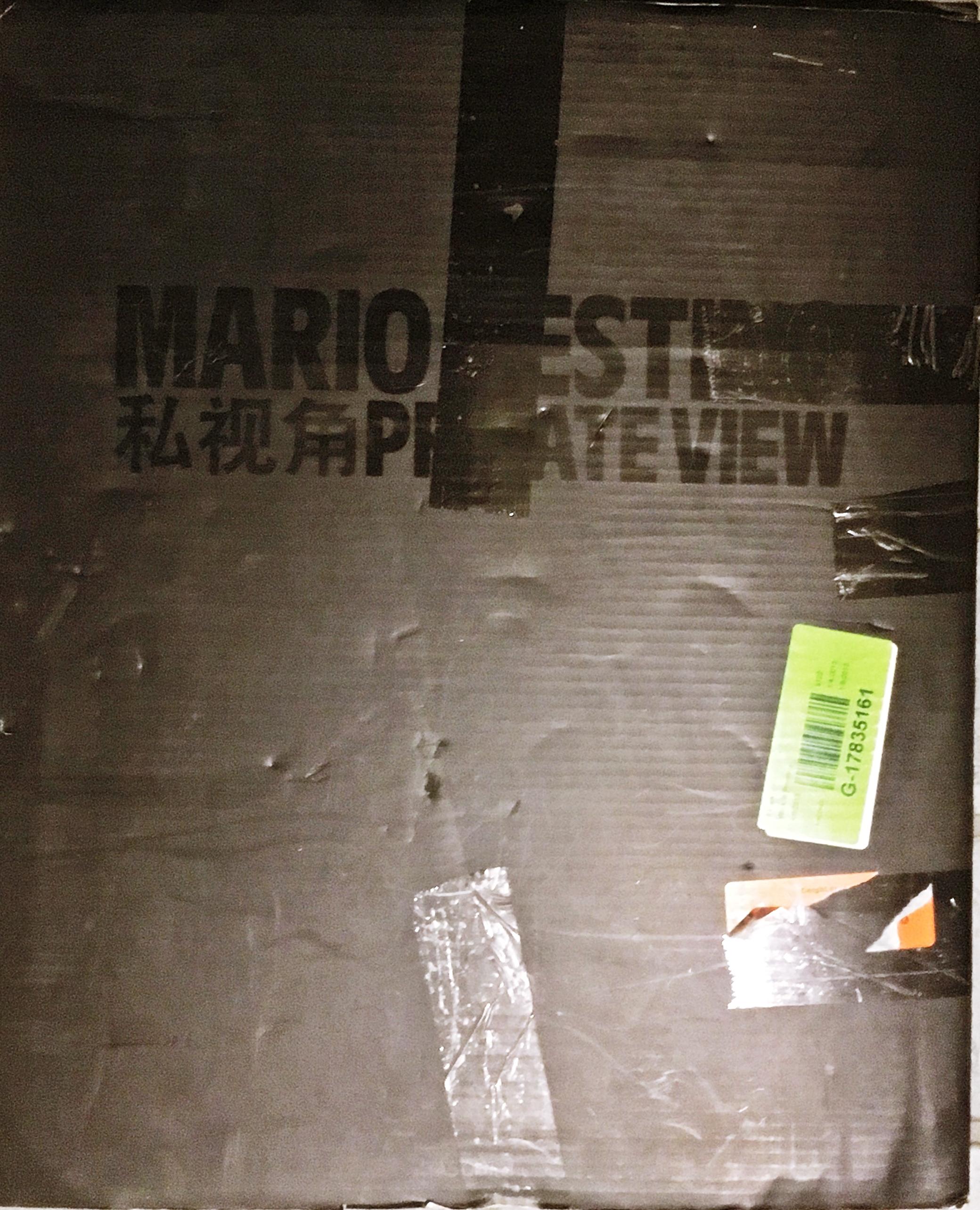 Livre signé à la main : Mario Testino, vue privée biangulaire (chinois-anglais) en vente 16