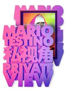 Lt Ed Hand SIGNED Book: Mario Testino Private View Bi-Lingual (Chinese-English)