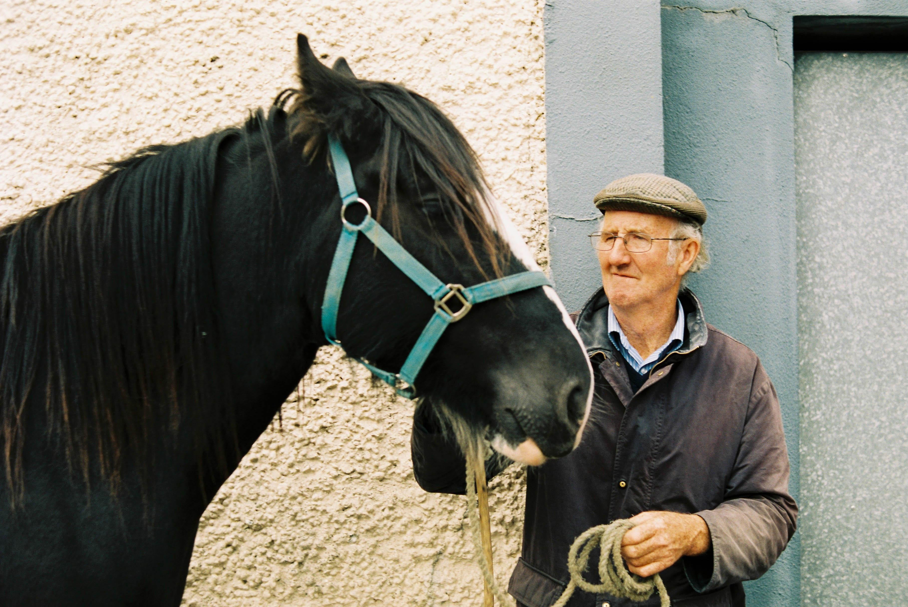 Marion Bergin Animal Print - Farmer with Horse - Ballinasloe Horse Fair, Ireland, 2018