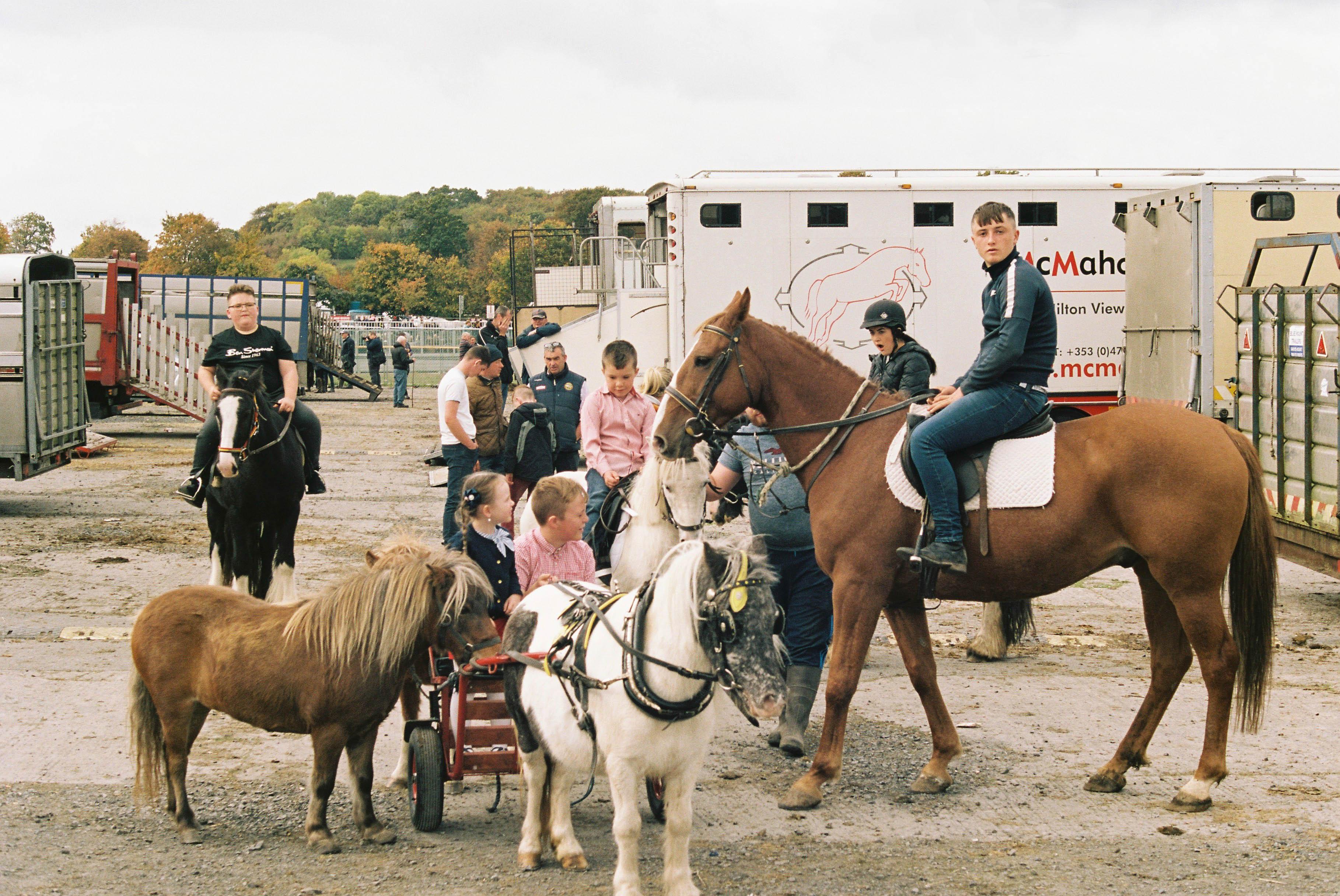 Marion Bergin Animal Print - Horse Crowd - Ballinasloe Horse Fair, Ireland, 2018