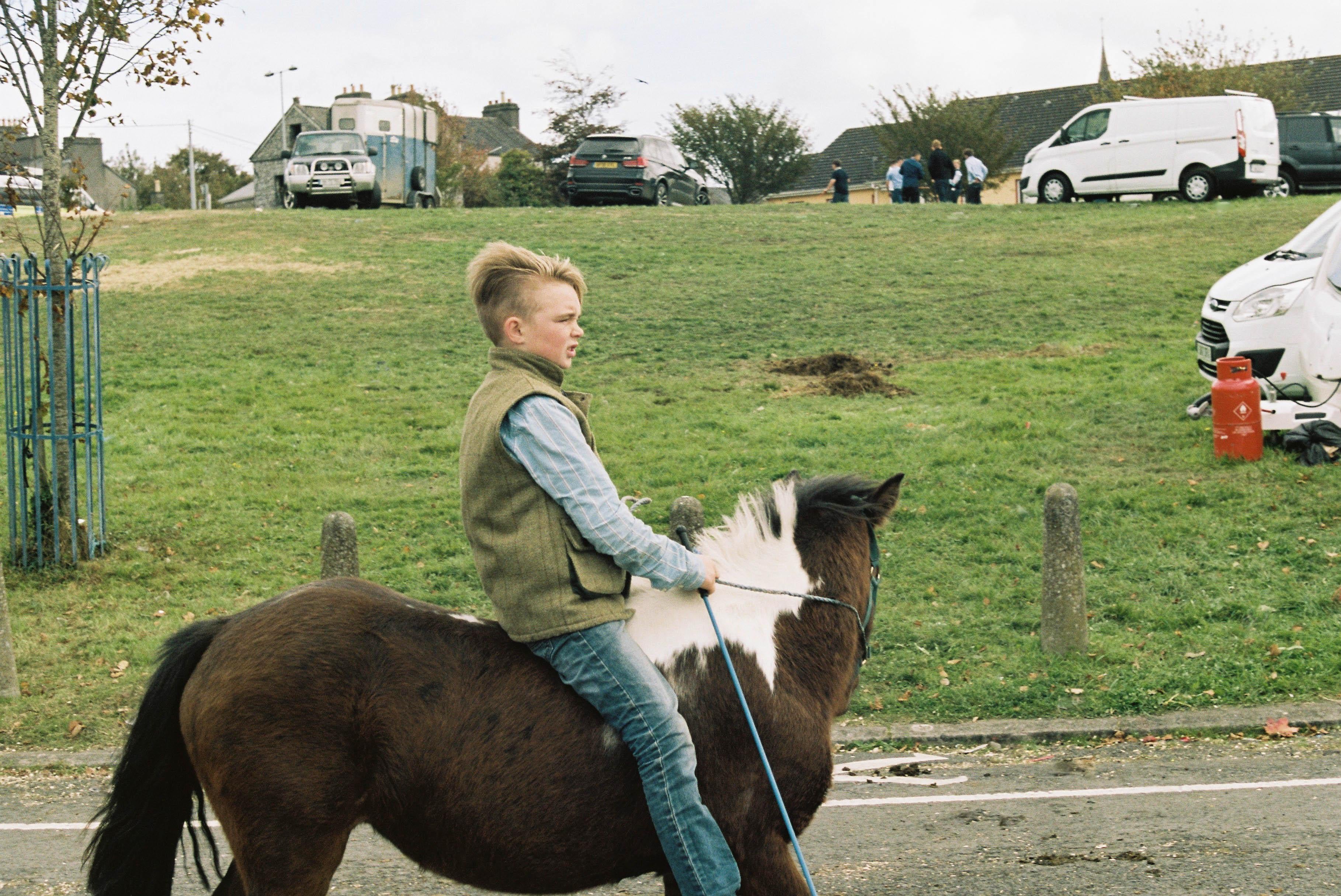 Caballo gitano Cobb irlandés, Feria del Caballo de Ballinasloe, Irlanda 2018 en venta 6