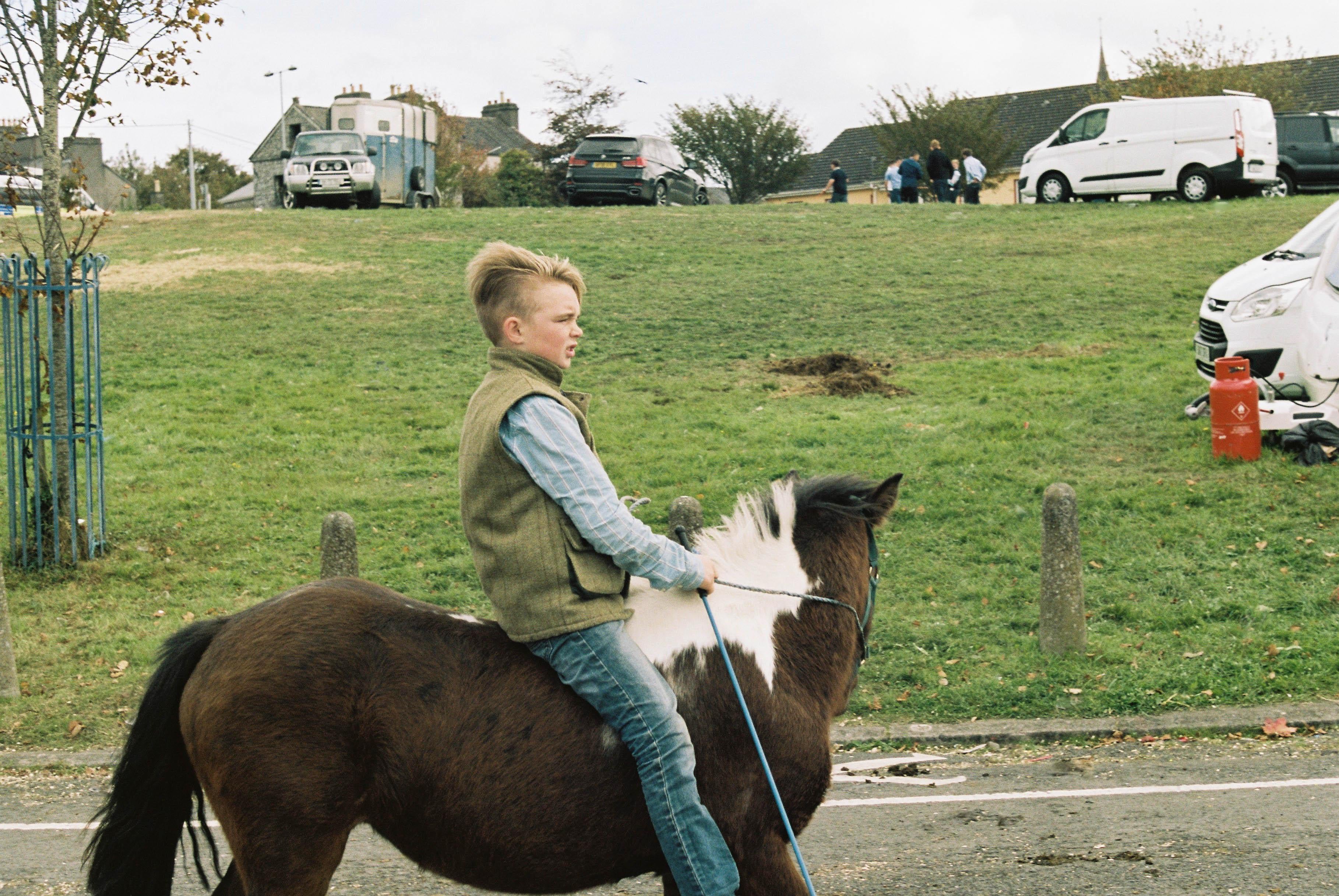 Irish Gypsy Cobb Horse, Ballinasloe Horse Fair, Ireland 2018 For Sale 6