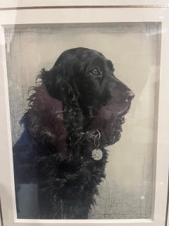 Marion Harvey Spaniel Etching