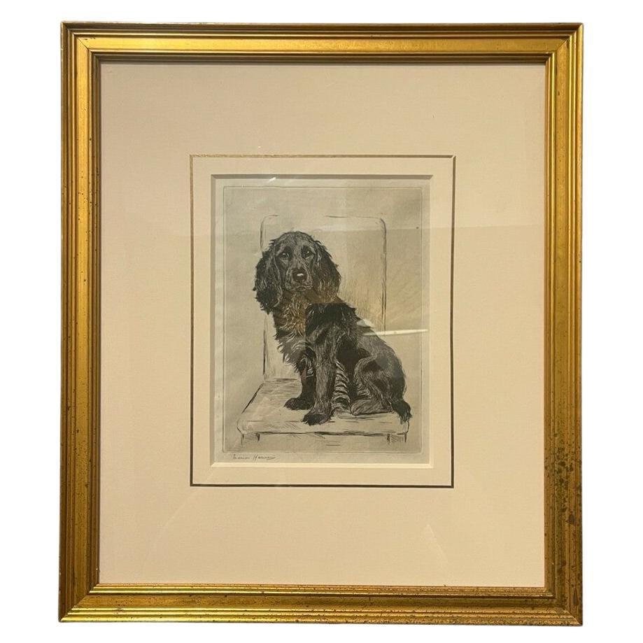 Marion Harvey Spaniel Etching