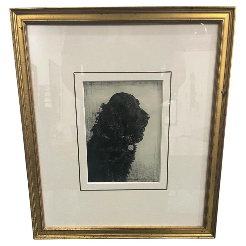 Marion Harvey Spaniel Etching