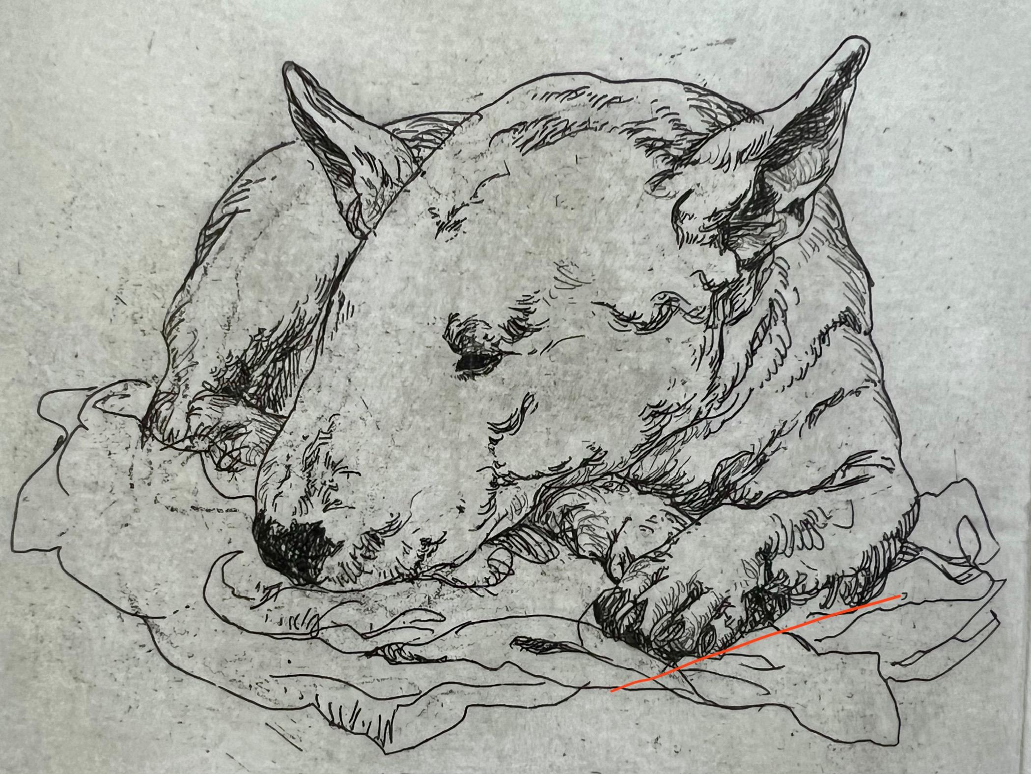 Handgezogene Radierung eines schlafenden Bullterriers hat Charme und verleiht Prestige – Painting von Marion Krupp