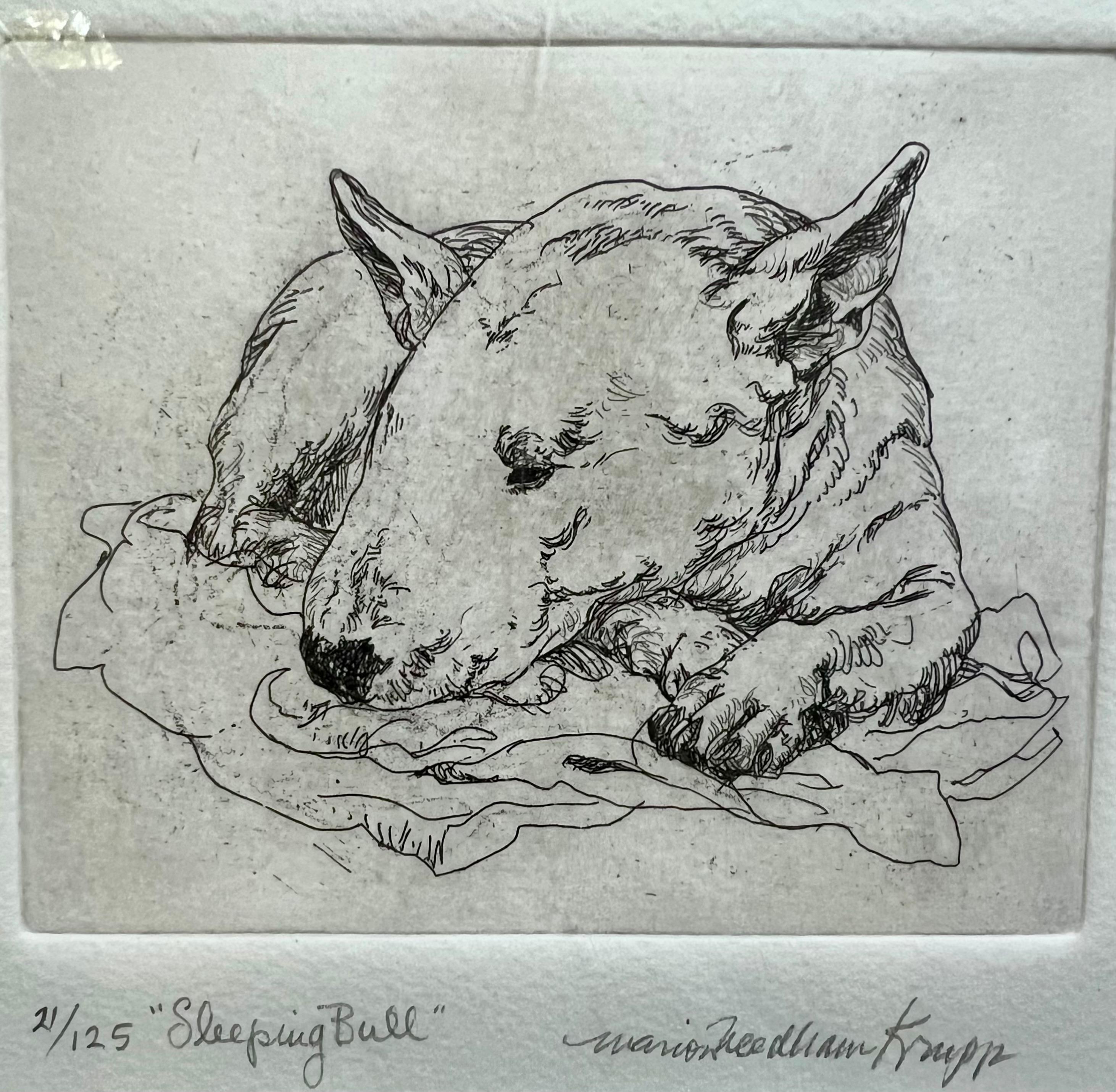 Marion Krupp Animal Painting – Handgezogene Radierung eines schlafenden Bullterriers hat Charme und verleiht Prestige