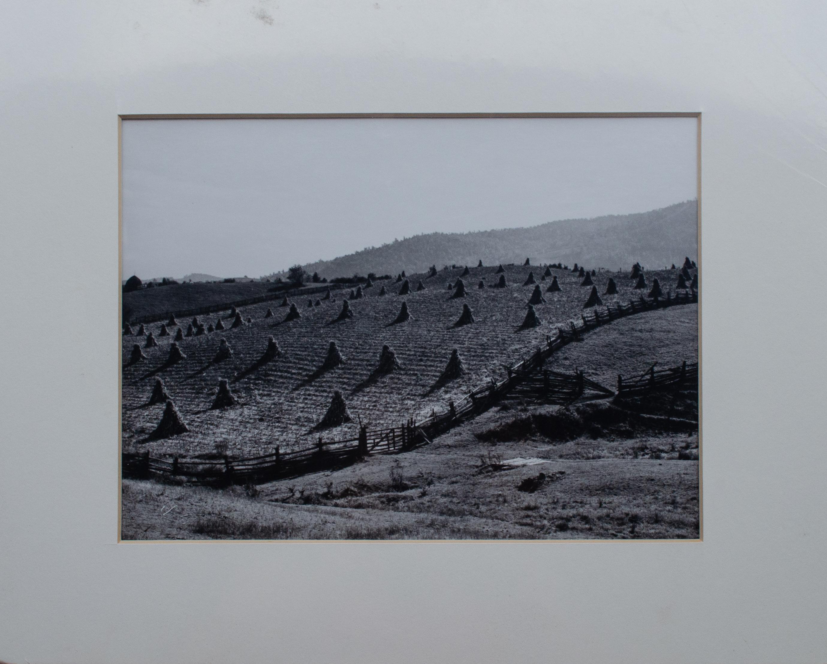 1. Arthur Rostein (américain, 1915-1985)
Crâne de bœuf, 1936
photographie en noir et blanc
7 1/4 x 7 1/4 in. 
Tapis : 11 x 14 pouces.

2. Marion Post Wolcott (américaine, 1910-1990)
Terres agricoles de Virginie, 1940
photographie en noir et blanc
7