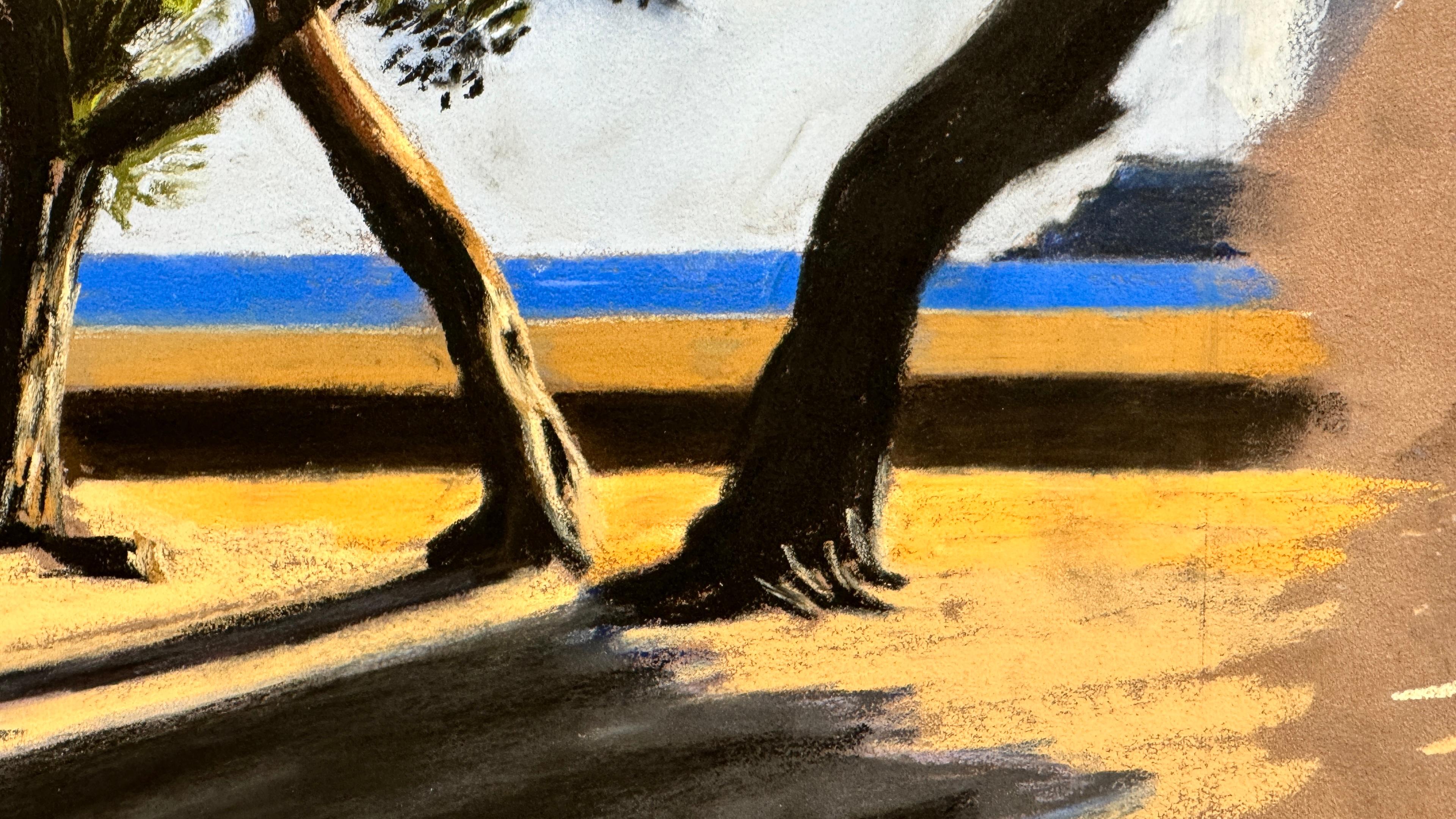 Pins de Paulilles 11 For Sale 1