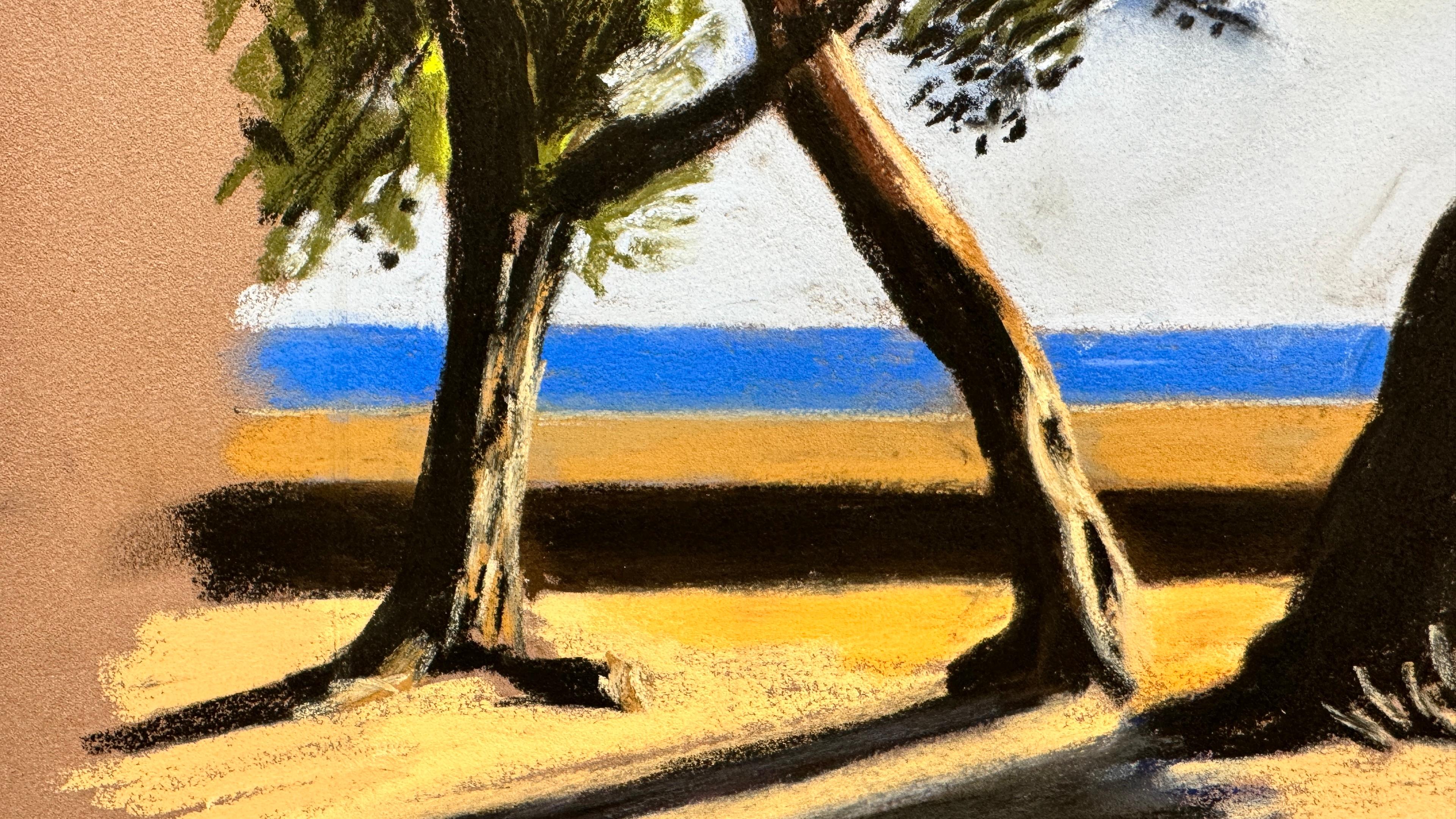 Pins de Paulilles 11 For Sale 2