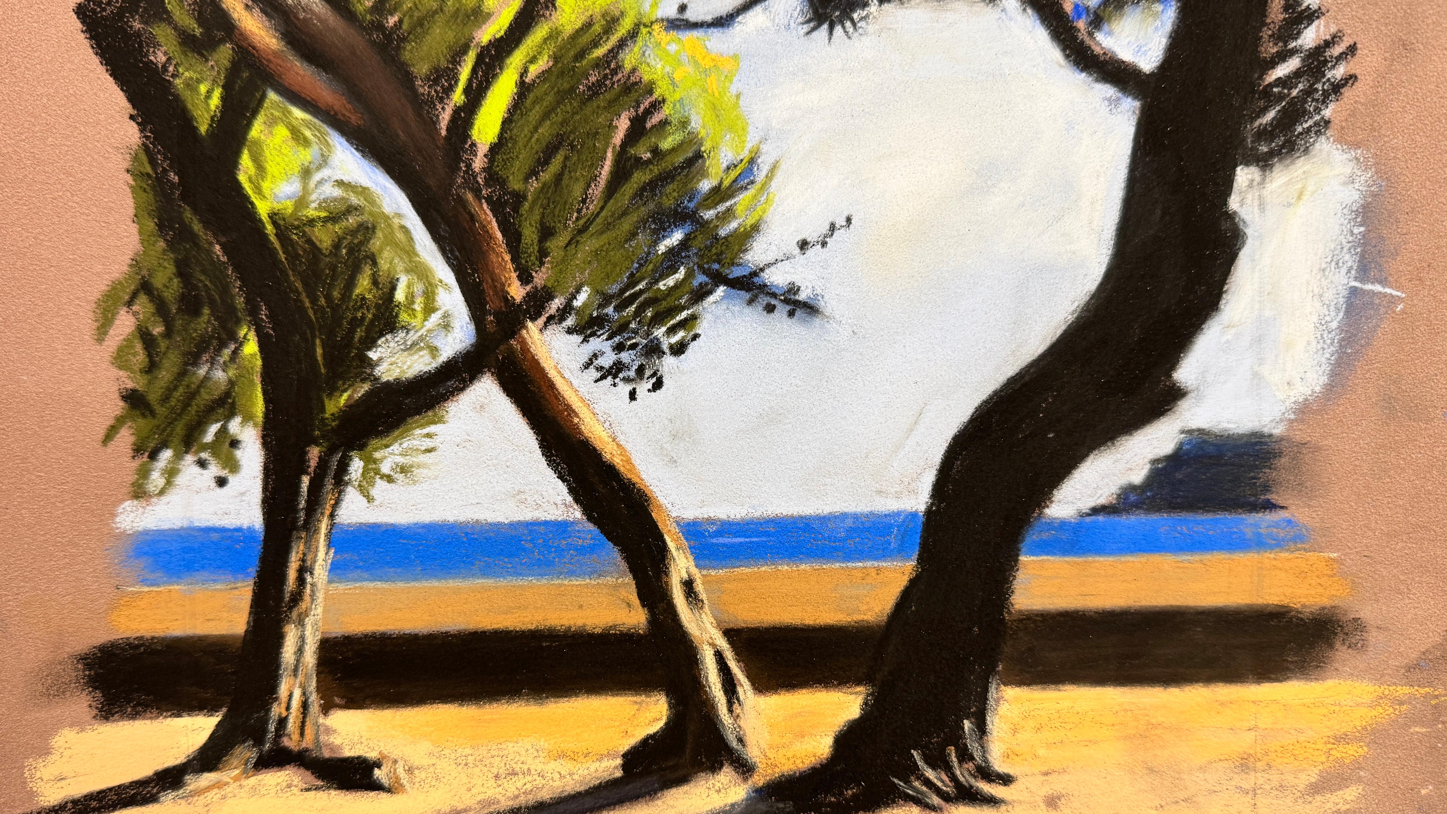 Pins de Paulilles 11 For Sale 3