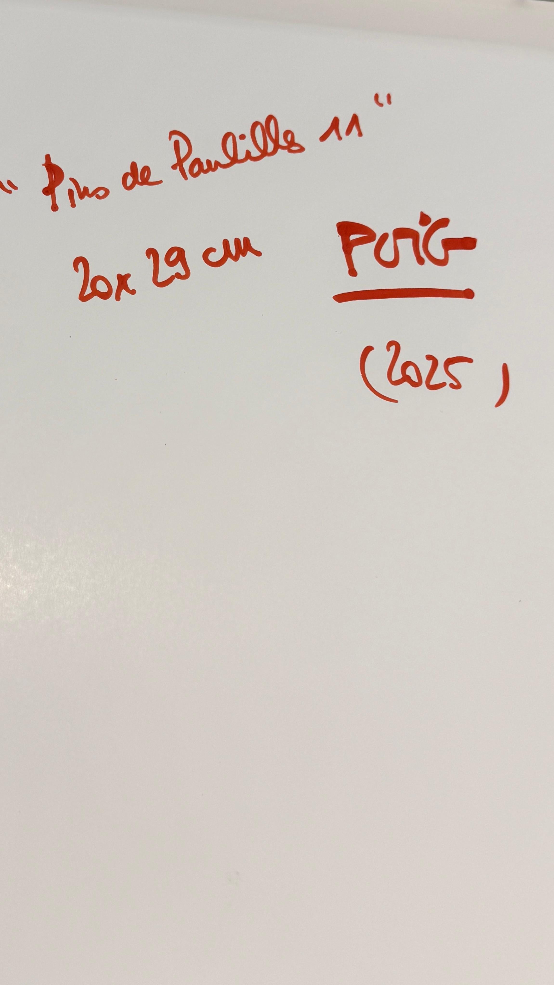 Pins de Paulilles 11 For Sale 4