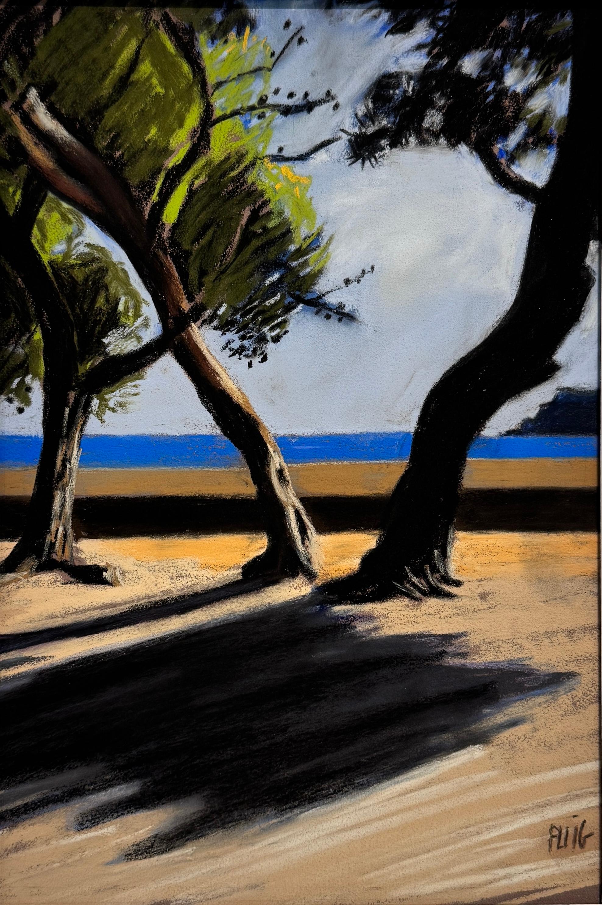 Pins de Paulilles 11