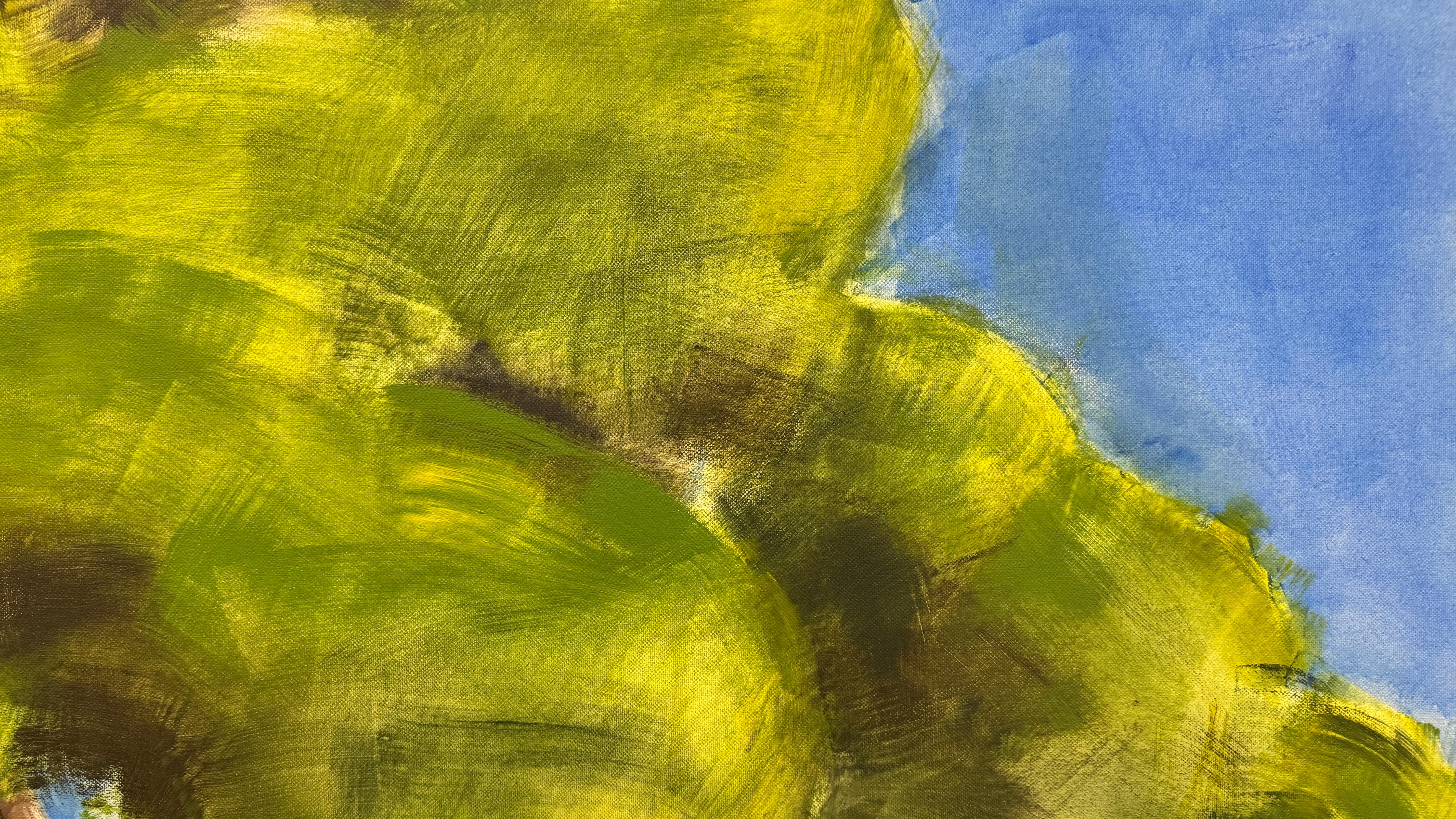 Alfileres de Paulilles 6 en venta 1