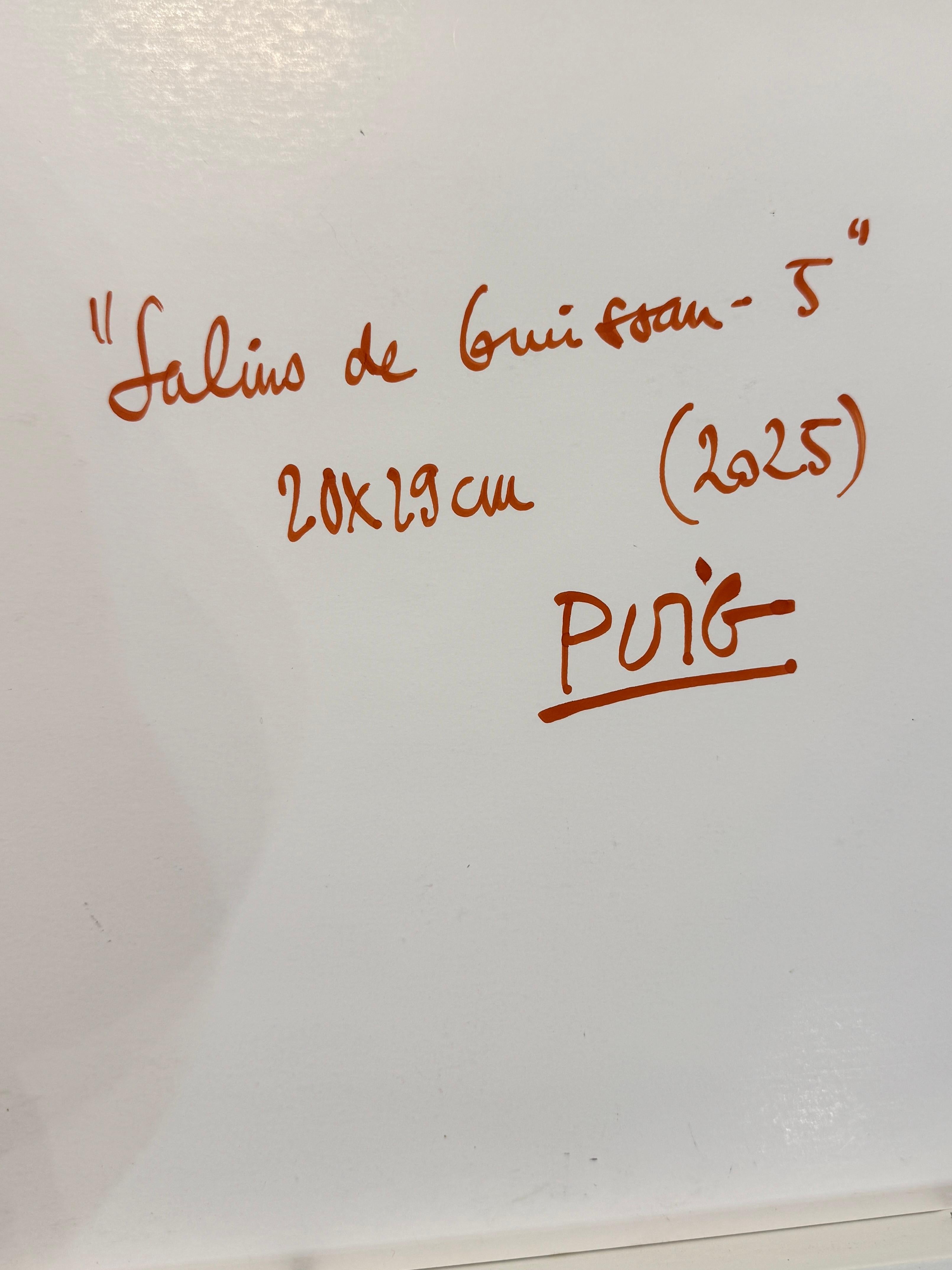 Salins de Gruissan 5 en vente 2