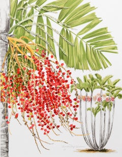 Vintage McArthur Palm, Lithograph by Marion Sheehan