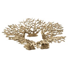 Portavelas Maris - Base y soporte para velas de latón dorado