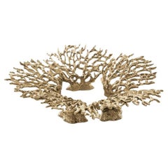 Maris, Golden Brass Candle Holder Inspired by Sea Life