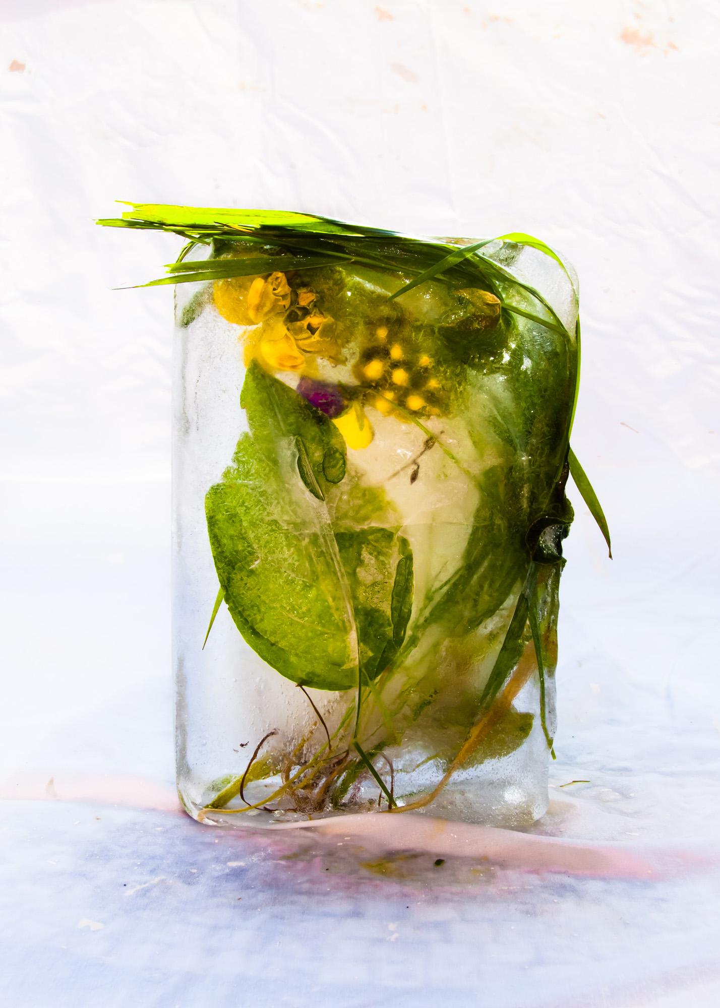 Still-Life Photograph Marisa Culatto - Flora 1, 2015 - Impression giclée en édition limitée
