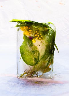 Flora 1, 2015 - Impression giclée en édition limitée
