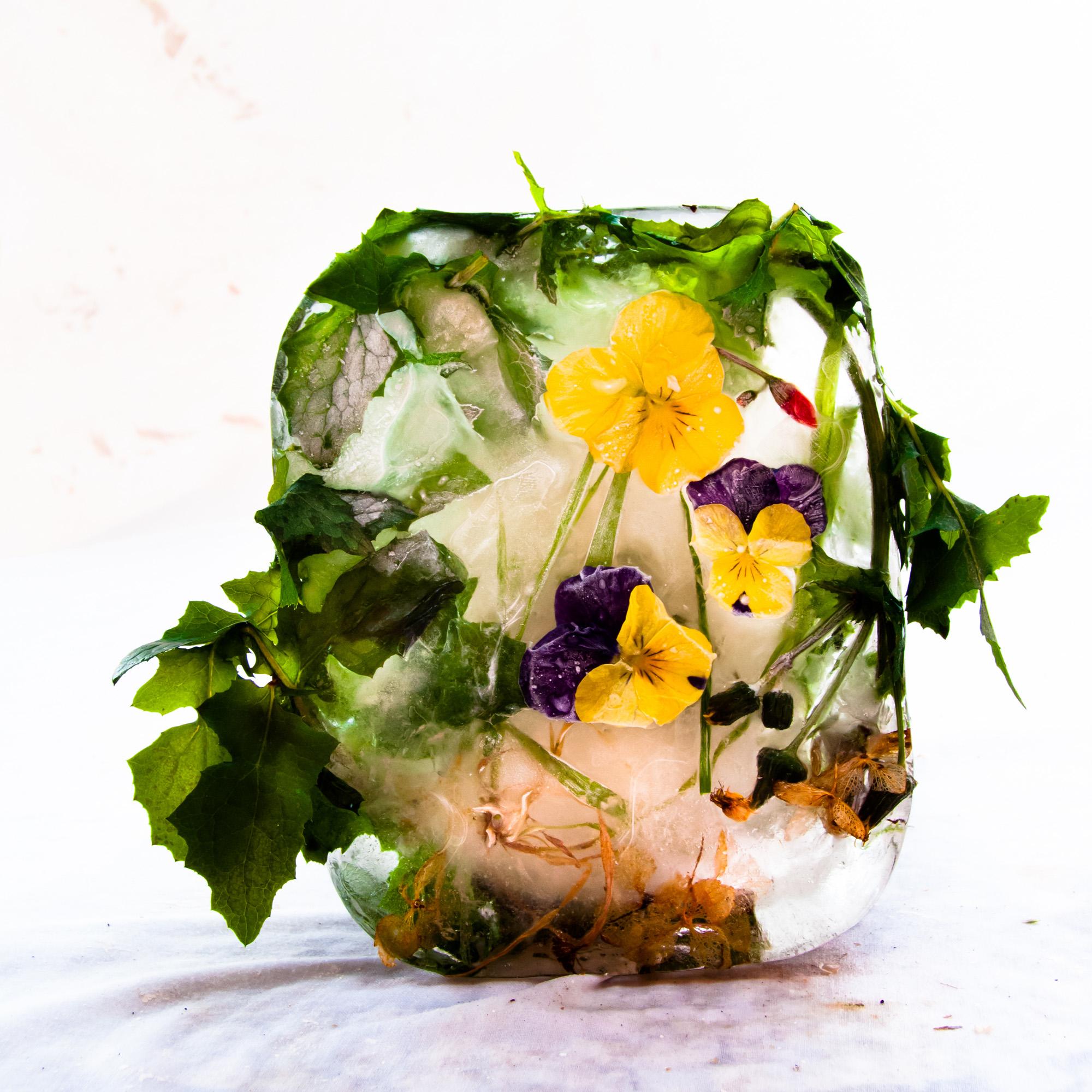 Marisa Culatto Still-Life Photograph – Flora 12, 2015 - Giclée-Druck in limitierter Auflage