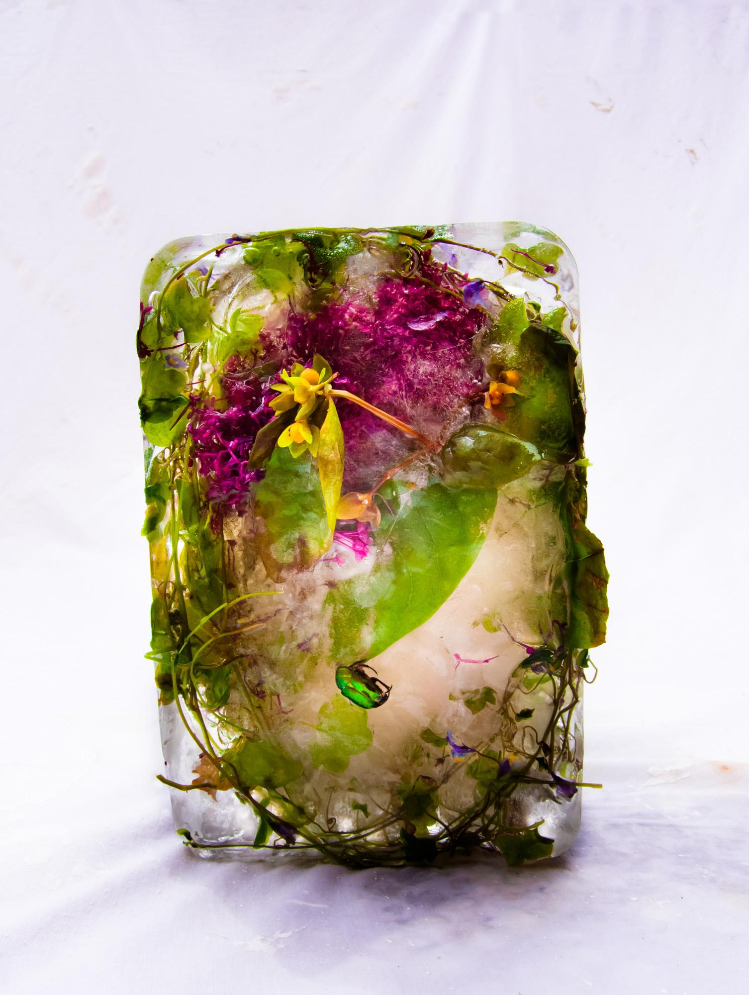 Marisa Culatto Still-Life Photograph – Flora 13, 2015 - Giclée-Druck in limitierter Auflage