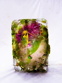Flora 13, 2015 - Limited Edition Giclée Print