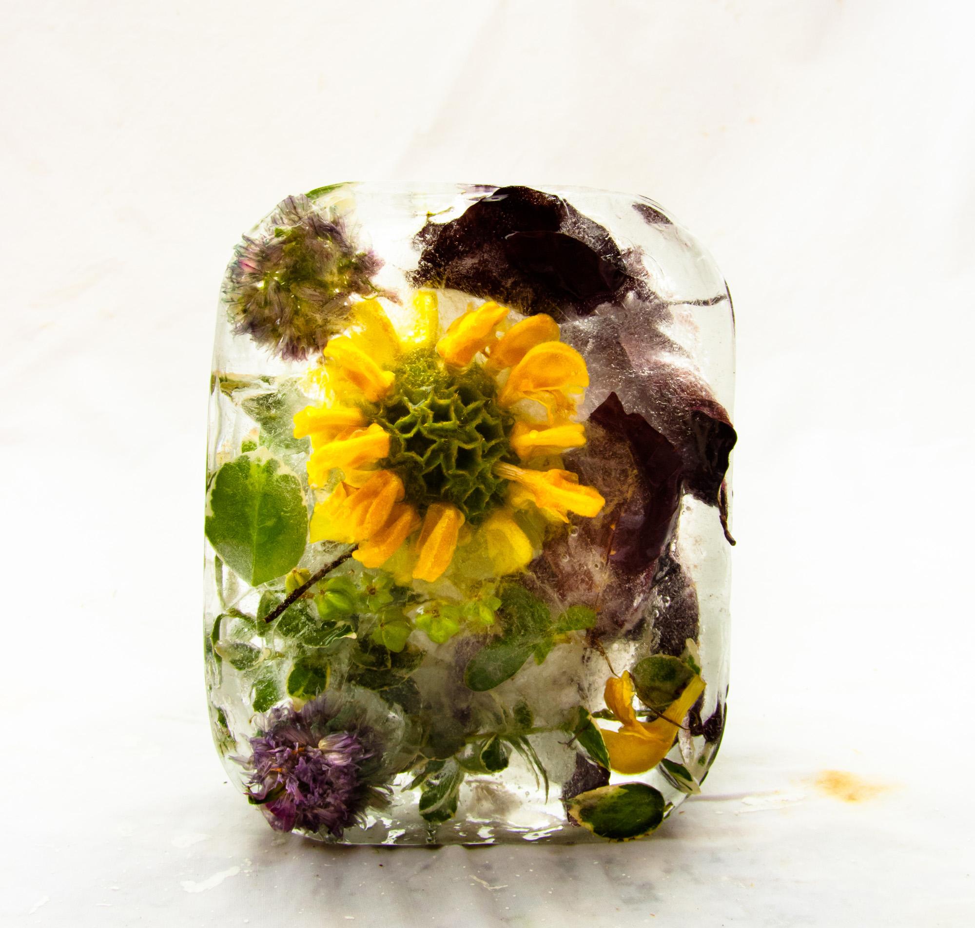 Flora 15, 2015 - Giclée-Druck in limitierter Auflage