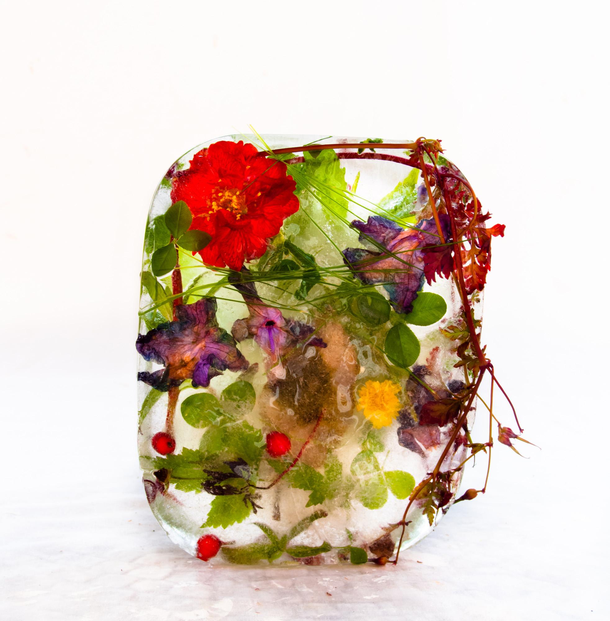 Marisa Culatto Color Photograph – Flora 17, 2015 - Giclée-Druck in limitierter Auflage