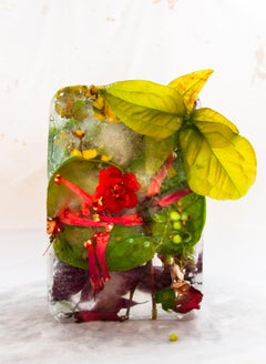 Flora 18, 2015 - Stampa giclée in edizione limitata