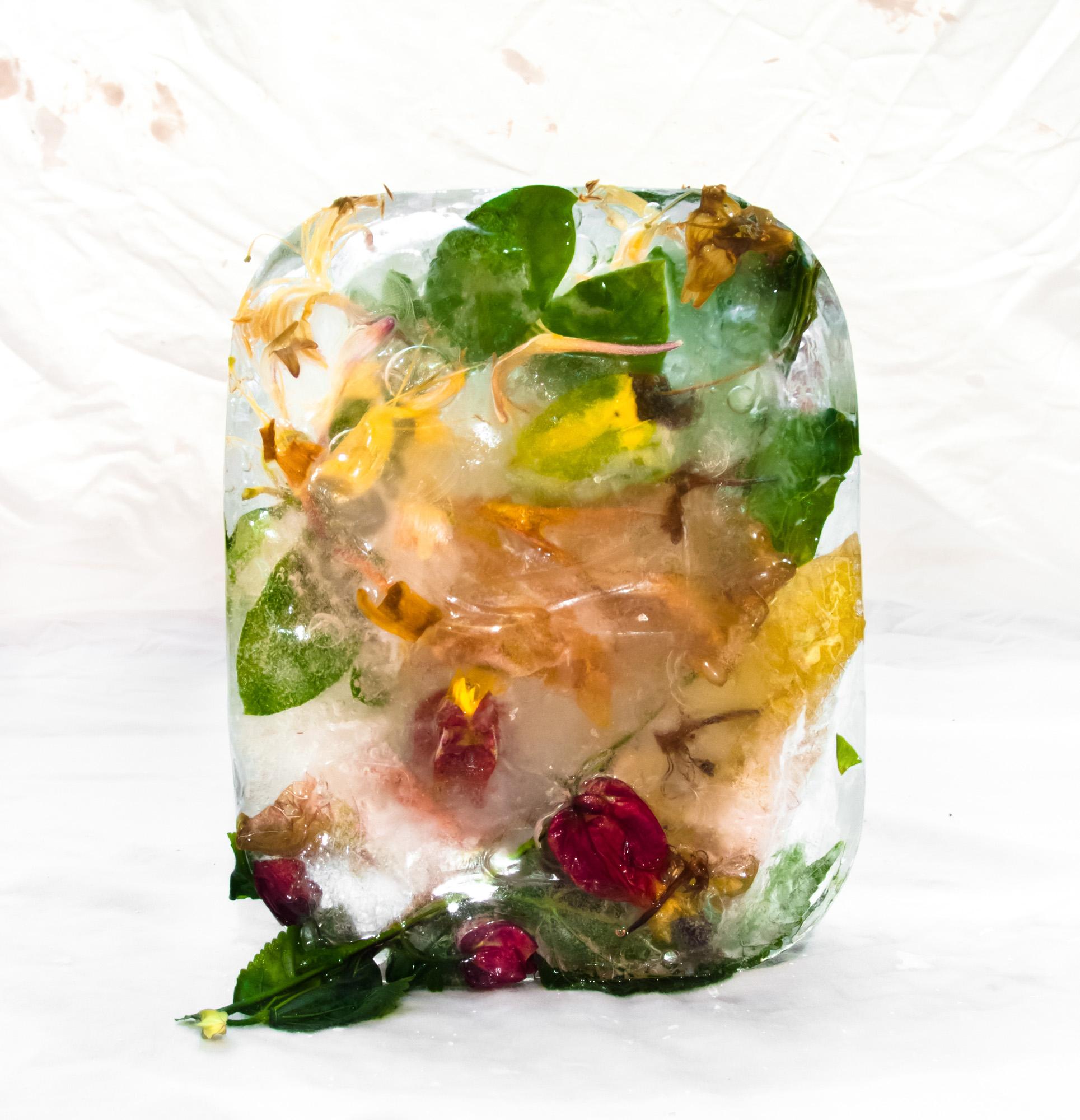 Marisa Culatto Color Photograph – Flora 19, 2015 - Giclée-Druck in limitierter Auflage