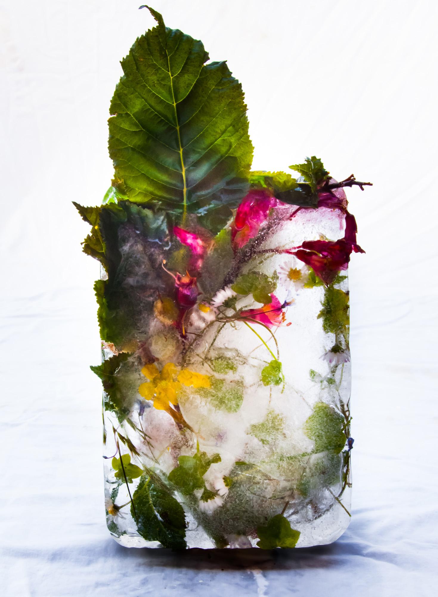 Still-Life Photograph Marisa Culatto - Flora 2, 2015 - Impression giclée en édition limitée