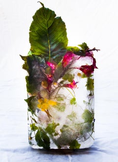 Flora 2, 2015 - Impression giclée en édition limitée