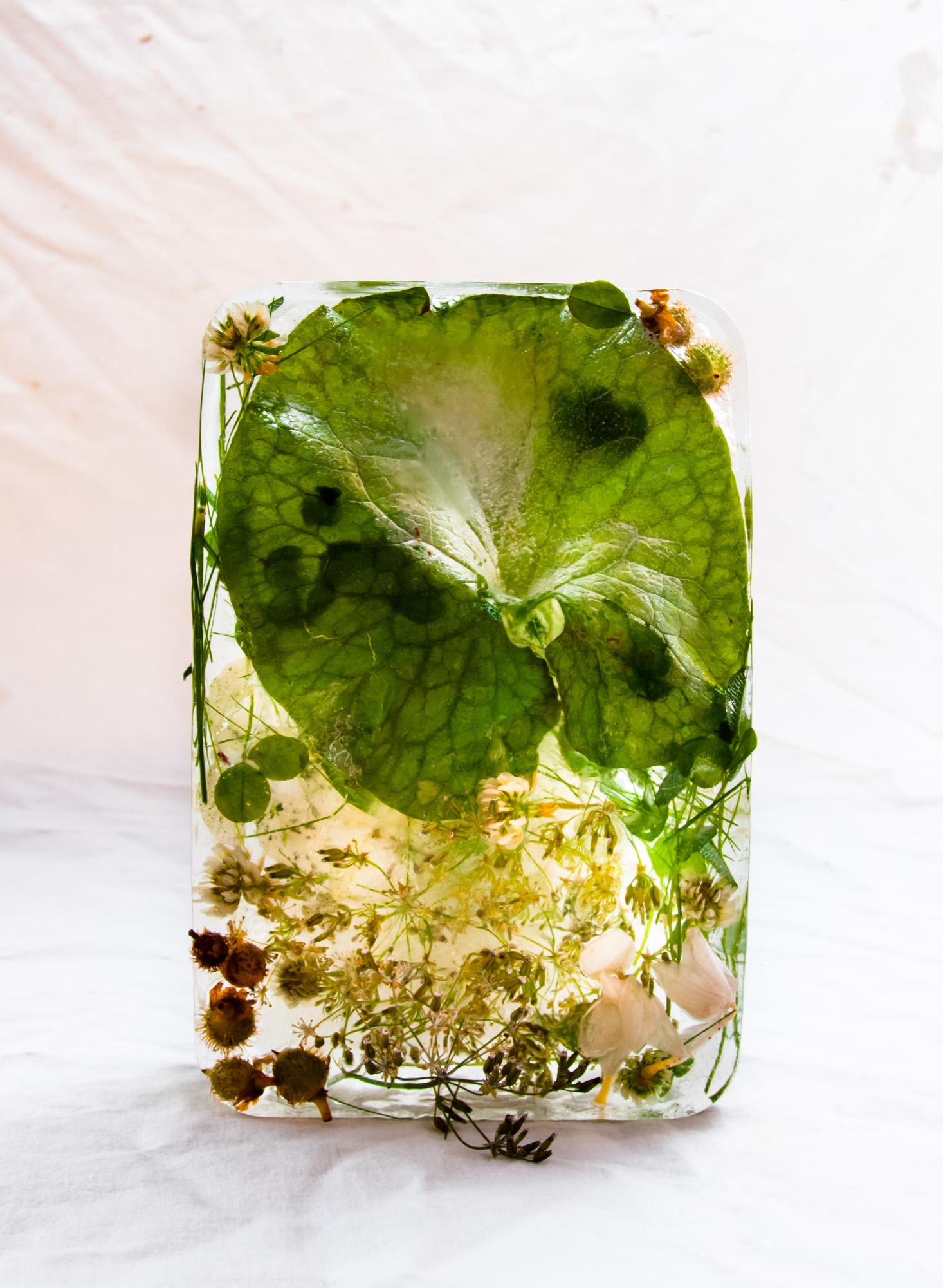 Still-Life Photograph Marisa Culatto - Flora 20, 2015 - Impression giclée en édition limitée