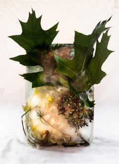 Flora 21, 2015 - Stampa giclée in edizione limitata
