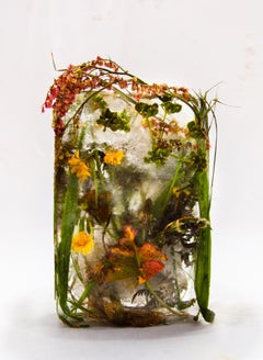 Flora 22, 2015 - Giclée-Druck in limitierter Auflage
