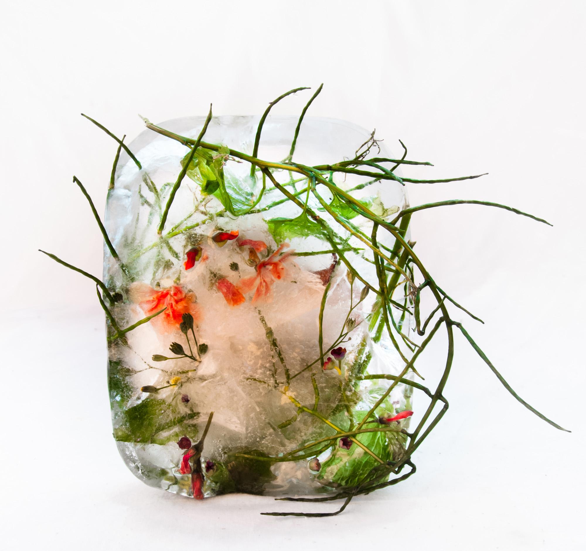 Marisa Culatto Color Photograph – Flora 25, 2015 - Giclée-Druck in limitierter Auflage